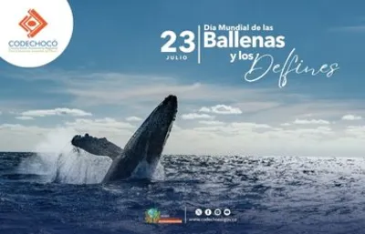 Día Mundial de las Ballenas y los Delfines