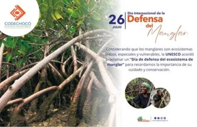 Día Internacional de la Defensa